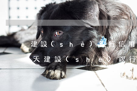 建設(shè)銀行信用卡分期逾期一般幾天 建設(shè)銀行分期通逾期了,有寬限期的嗎?