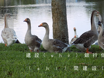 建設(shè)銀行信用卡分期逾期多長時(shí)間 建設(shè)銀行分期通逾期了,有寬限期的嗎?