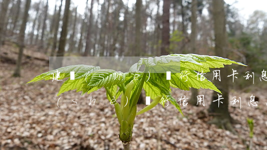 建設(shè)銀行信用卡利息怎么算（建設(shè)銀行信用卡利息怎么算）
