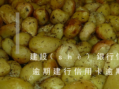 建設(shè)銀行信用卡協(xié)商逾期(建行信用卡逾期兩個(gè)月協(xié)商不行怎么辦)