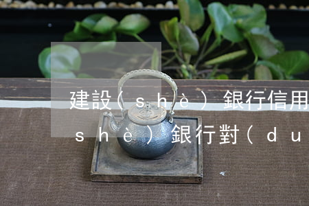 建設(shè)銀行信用卡合理逾期(建設(shè)銀行對(duì)信用卡逾期兩次影響房貸嗎)