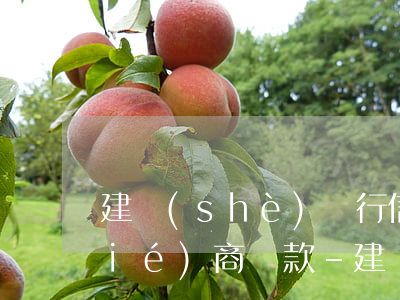 建設(shè)銀行信用卡如何申請協(xié)商還款-建設(shè)銀行信用卡如何申請協(xié)商還款延期