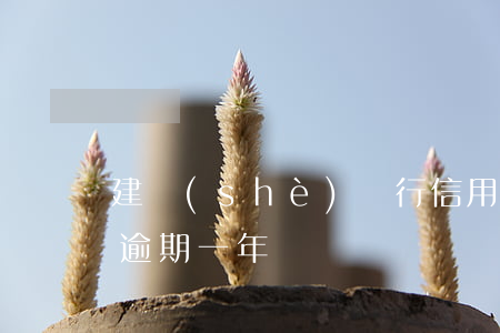 建設(shè)銀行信用卡年費(fèi)逾期一年