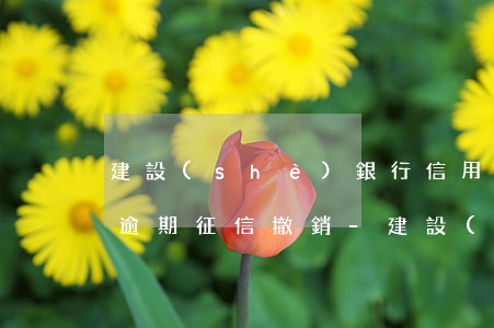 建設(shè)銀行信用卡年費(fèi)逾期征信撤銷-建設(shè)銀行信用卡年費(fèi)逾期征信撤銷怎么辦