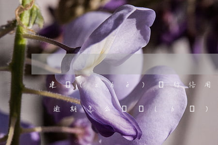 建設(shè)銀行信用卡年費(fèi)逾期怎么彌補(bǔ)(建設(shè)銀行信用卡 逾期)