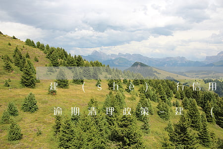 建設(shè)銀行信用卡年費(fèi)逾期清理政策-建設(shè)銀行信用卡年費(fèi)逾期清理政策是什么