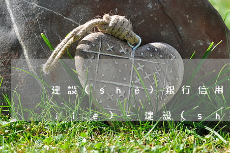 建設(shè)銀行信用卡未逾期被凍結(jié)-建設(shè)銀行信用卡未逾期被凍結(jié)