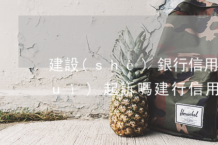 建設(shè)銀行信用卡欠三千多會(huì)起訴嗎(建行信用卡3000元逾期150天)