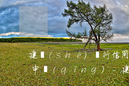 建設(shè)銀行信用卡能不能停息掛賬申請(qǐng)-建設(shè)銀行信用卡能不能停息掛賬申請(qǐng)呢