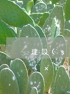 建設(shè)銀行信用卡被起訴了怎么協(xié)商-建設(shè)銀行信用卡被起訴了怎么協(xié)商還款