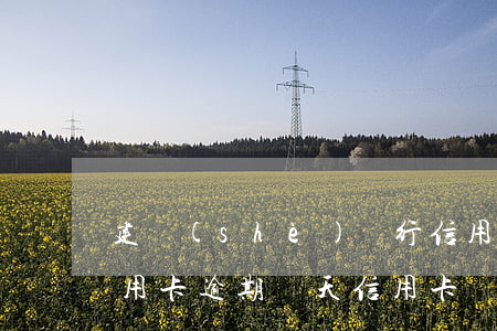 建設(shè)銀行信用卡貸款逾期(建行信用卡逾期幾天信用卡異常)