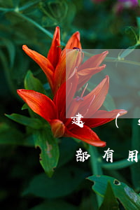 建設(shè)銀行信用卡起訴,打電話到總部有用不-建設(shè)銀行信用卡起訴,打電話到總部有用不
