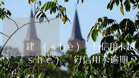 建設(shè)銀行信用卡超額逾期(建設(shè)銀行信用卡逾期幾天算真正的逾期)