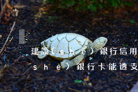 建設(shè)銀行信用卡透支期限(建設(shè)銀行卡能透支嗎)
