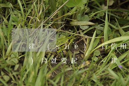 建設(shè)銀行信用卡逾期2個(gè)月就要起訴嗎-建設(shè)銀行信用卡逾期2個(gè)月就要起訴嗎怎么辦