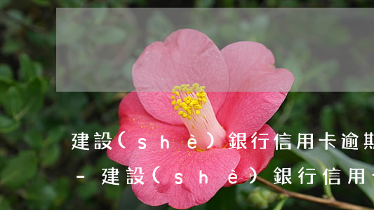 建設(shè)銀行信用卡逾期35000-建設(shè)銀行信用卡逾期一天會有影響嗎?