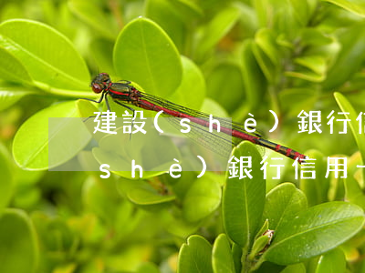 建設(shè)銀行信用卡逾期6天(建設(shè)銀行信用卡逾期6天有影響嗎?)