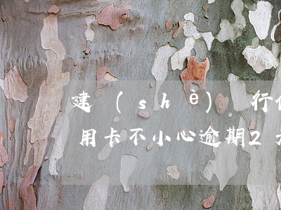 建設(shè)銀行信用卡逾期7天(建行信用卡不小心逾期2天)