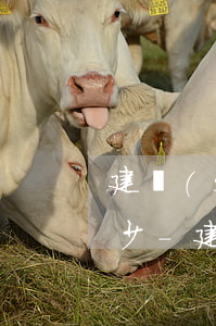 建設(shè)銀行信用卡逾期7年要還多少-建設(shè)銀行信用卡逾期7年要還多少利息