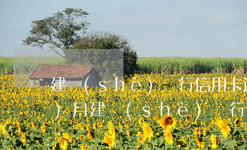 建設(shè)銀行信用卡逾期8個(gè)月(建設(shè)銀行信用卡逾期8個(gè)月,協(xié)商減免利息不同意)