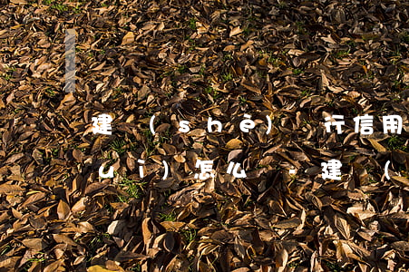 建設(shè)銀行信用卡逾期8天會(huì)怎么樣-建設(shè)銀行信用卡逾期8天會(huì)怎么樣嗎