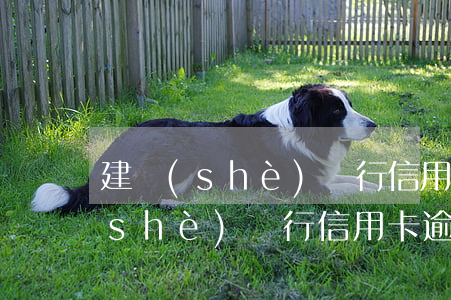 建設(shè)銀行信用卡逾期8年 建設(shè)銀行信用卡逾期8年怎么還