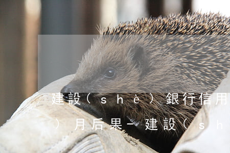 建設(shè)銀行信用卡逾期一個(gè)月后果-建設(shè)銀行逾期一個(gè)月還款對(duì)信用有影響嗎