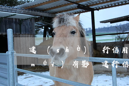 建設(shè)銀行信用卡逾期一天有沒(méi)有影響?（建行信用卡逾期秒扣工資咋辦）