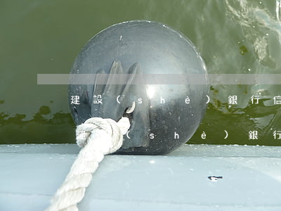 建設(shè)銀行信用卡逾期一年后果-建設(shè)銀行信用卡逾期一年后果