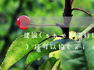 建設(shè)銀行信用卡逾期三個(gè)月可以協(xié)商還款嗎-建設(shè)銀行信用卡逾期三個(gè)月可以協(xié)商還款嗎