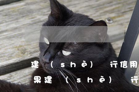 建設(shè)銀行信用卡逾期三天什么后果 建設(shè)銀行有逾期記錄可以再次申請信用卡嗎
