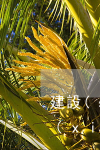 建設(shè)銀行信用卡逾期三年怎樣協(xié)商還款-建設(shè)銀行信用卡逾期三年怎樣協(xié)商還款呢