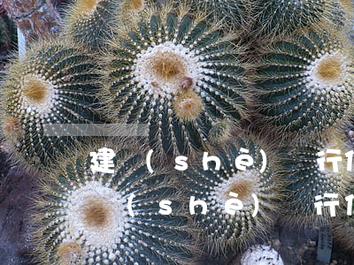 建設(shè)銀行信用卡逾期上門走訪(建設(shè)銀行信用卡逾期上門走訪)