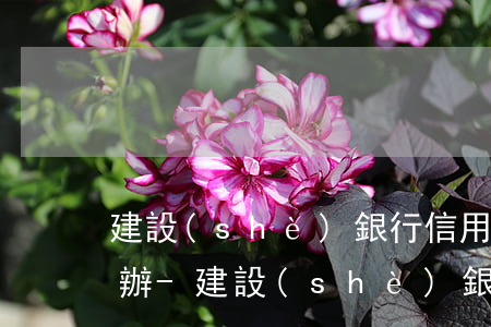 建設(shè)銀行信用卡逾期了一次怎么辦-建設(shè)銀行信用卡逾期了一次怎么辦理
