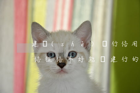 建設(shè)銀行信用卡逾期了不想上征信 征信不好能辦建行的信用卡嗎