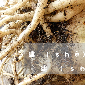建設(shè)銀行信用卡逾期了還可以嗎-建設(shè)銀行 信用卡 逾期