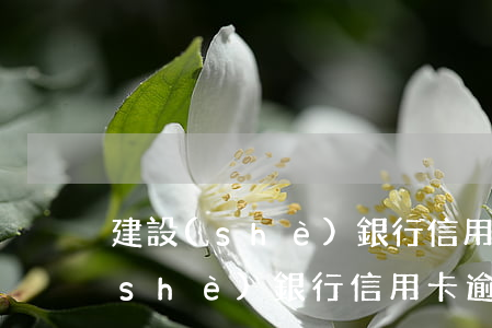 建設(shè)銀行信用卡逾期修改(建設(shè)銀行信用卡逾期記錄能消除嗎)
