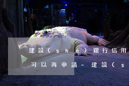 建設(shè)銀行信用卡逾期停用了多久可以再申請-建設(shè)銀行信用卡逾期停用了多久可以再申請新卡