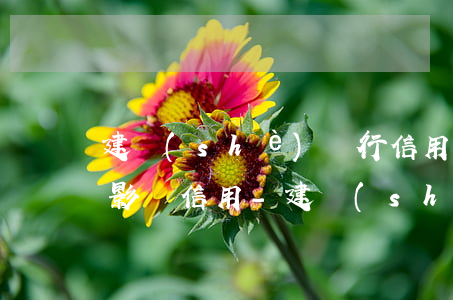 建設(shè)銀行信用卡逾期兩天會不會影響信用?-建設(shè)銀行信用卡逾期兩天會不會影響信用卡額度