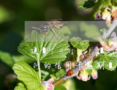 建設(shè)銀行信用卡逾期兩年還上(建行的信用卡逾期還款以后多久能使用)