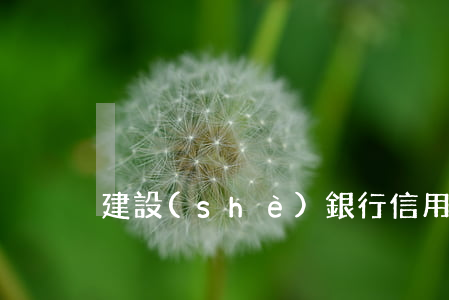 建設(shè)銀行信用卡逾期利息是多少