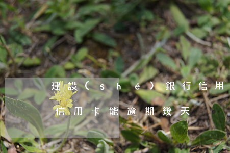 建設(shè)銀行信用卡逾期十天了(建行信用卡能逾期幾天)