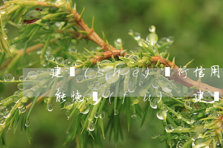建設(shè)銀行信用卡逾期半個月多久能恢復(fù)-建設(shè)銀行信用卡逾期半個月多久能恢復(fù)額度
