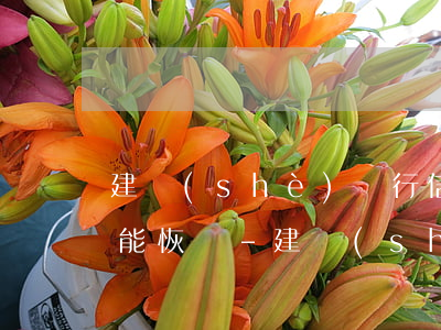 建設(shè)銀行信用卡逾期半個月多久能恢復-建設(shè)銀行信用卡逾期半個月多久能恢復額度