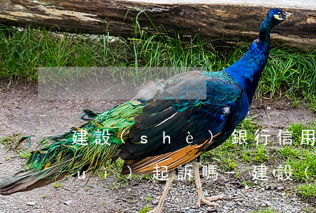 建設(shè)銀行信用卡逾期半年會(huì)起訴嗎-建設(shè)銀行信用卡逾期半年會(huì)起訴嗎知乎