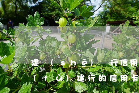 建設(shè)銀行信用卡逾期后怎么恢復(fù)(建行的信用卡逾期還款以后多久能使用)