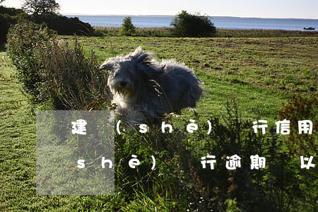 建設(shè)銀行信用卡逾期問題(建設(shè)銀行逾期過,以后還可以辦理信用卡嗎)