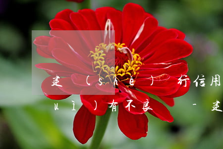 建設(shè)銀行信用卡逾期多久會(huì)有不良記錄-建設(shè)銀行信用卡逾期多久會(huì)有不良記錄