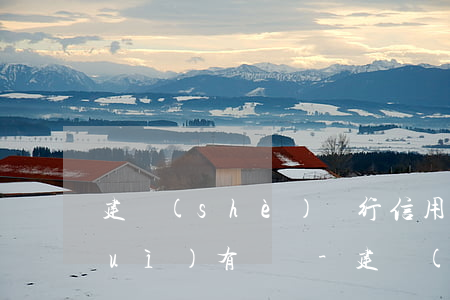 建設(shè)銀行信用卡逾期多久會(huì)有記錄-建設(shè)銀行信用卡逾期多久會(huì)有記錄呢