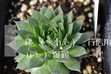 建設(shè)銀行信用卡逾期多久會(huì)爆通訊錄-建設(shè)銀行信用卡逾期多久會(huì)爆通訊錄啊